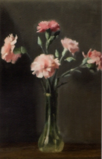 Carnations 1923